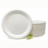 Compostable 9" Plates (White) - made from sugarcane